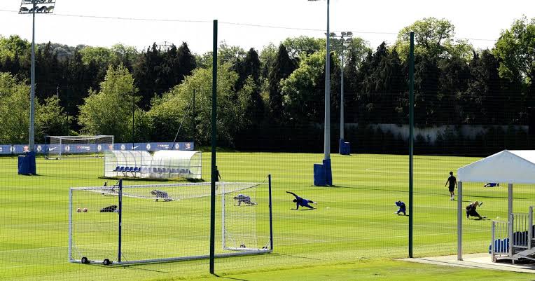 Chelsea Academy Training center in Cobham 